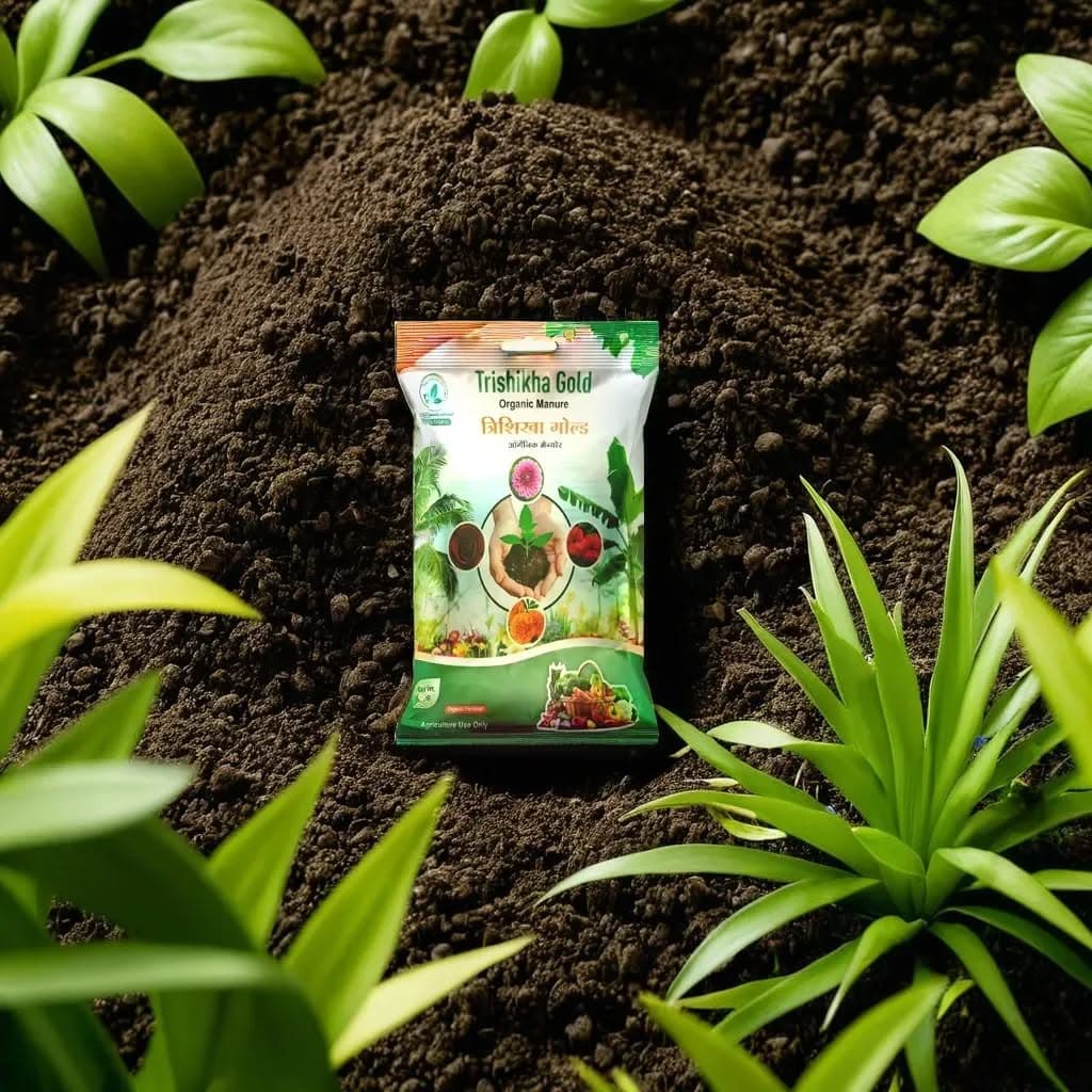 Trishikha Gold - 1kg