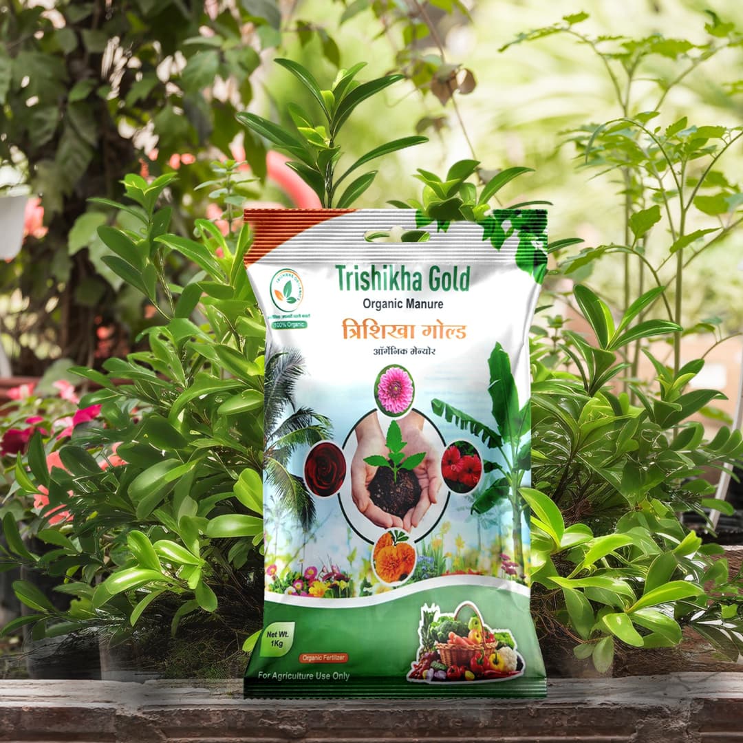 Trishikha Gold - 1kg